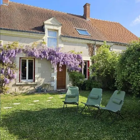 La Maison Du Vigneron Chatillon-sur-Cher Exterior photo